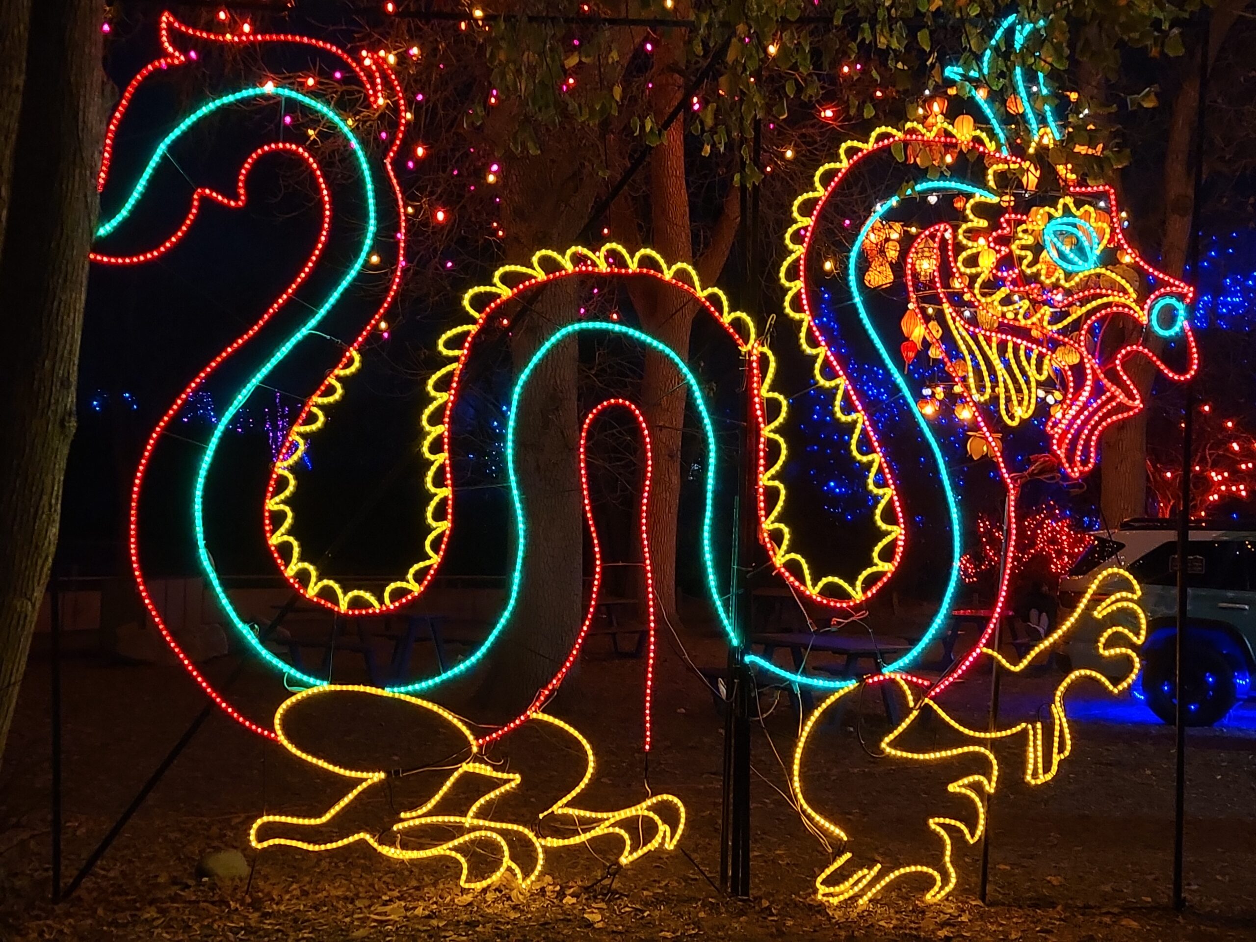 ((--CHRISTMAS--DRAGON--DENVER--ZOOLIGHTS--))