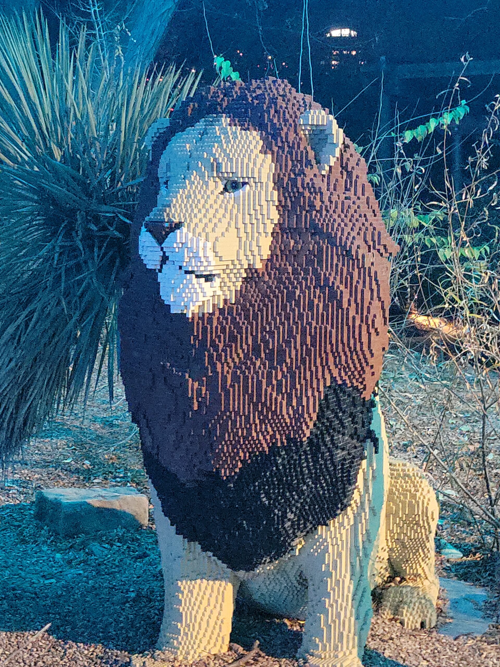 ((--DENVER--ZOO--LEGO--LION--ZOOLIGHTS--))
